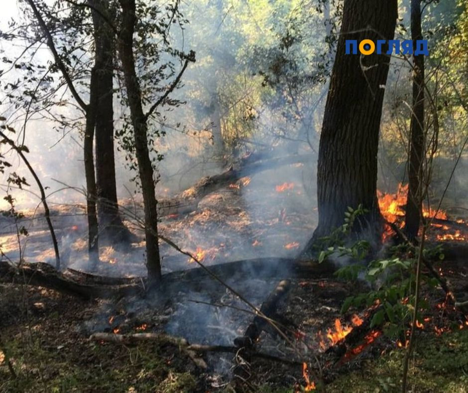 Київщині загрожує триденна пожежна небезпека (ФОТО) - зображення